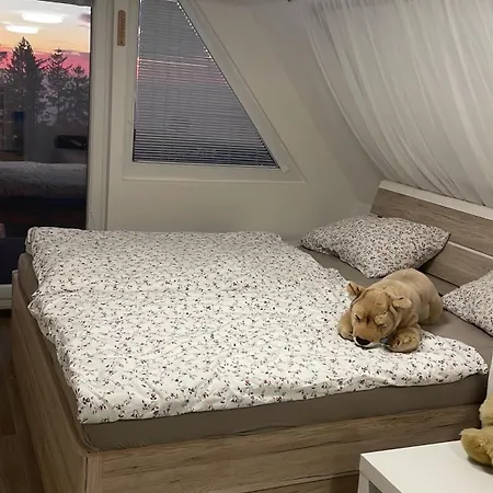 Olomouc Apartment Tover